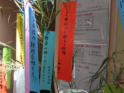 P1030354.JPG